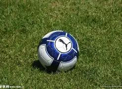 全国学生资,助中心提醒,谨防,博鱼体育官网,H5博鱼体育官网,博鱼体育官网在线娱乐平台